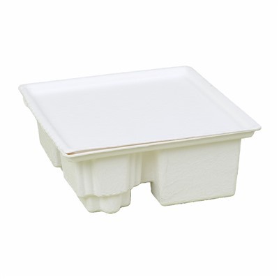 Autres emballages moulés en pâte électronique